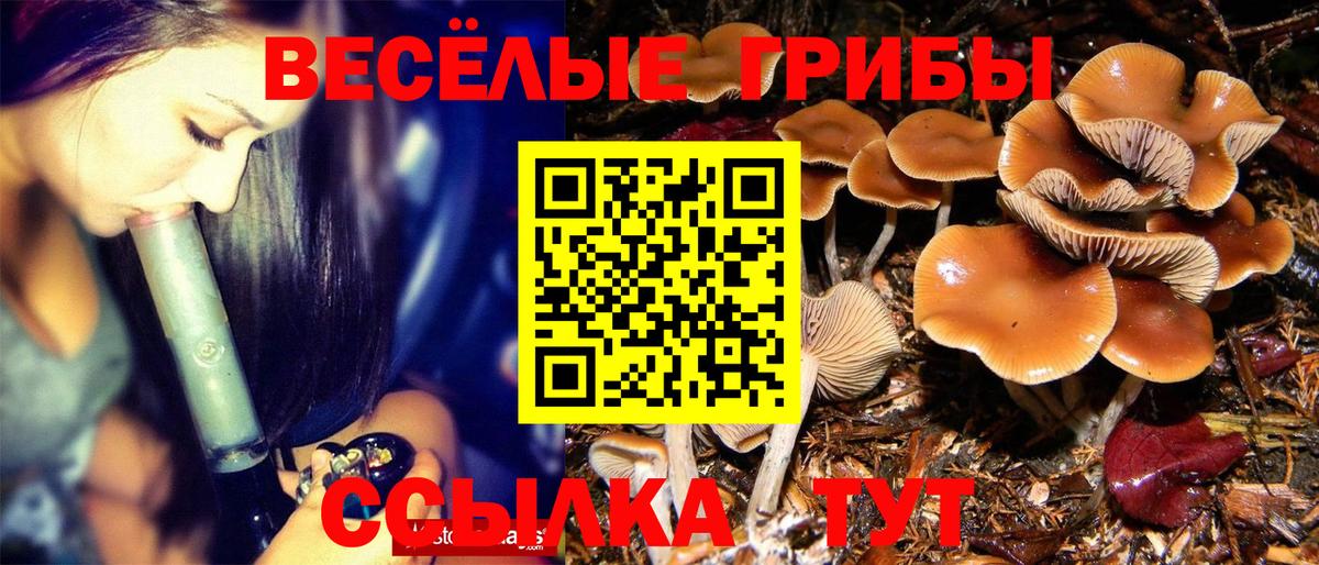 Кудымкар  Галлюциногенные грибы Magic Shrooms  Вход с VPN 